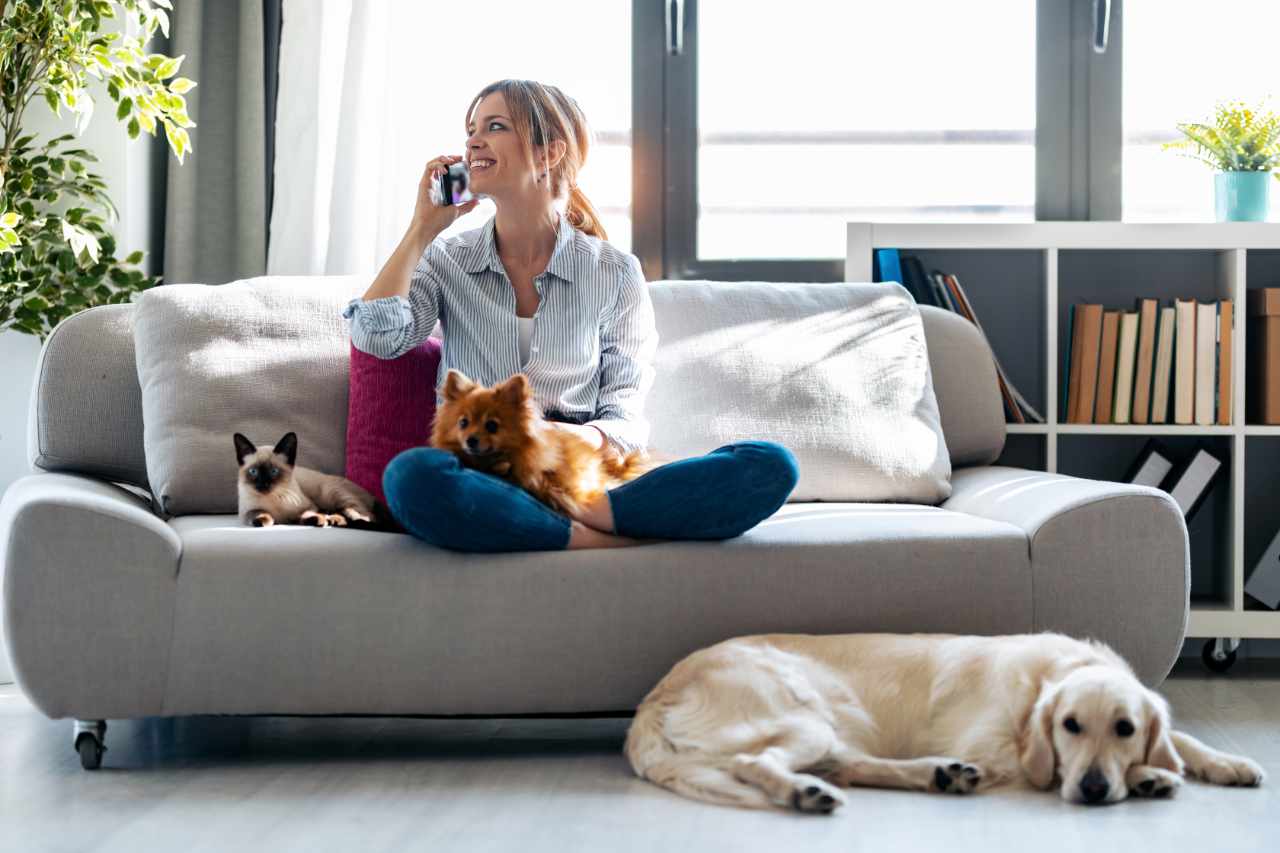 How To Make Your Home More Petfriendly